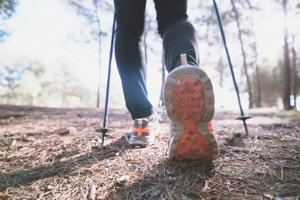 Trekking a piedi bis